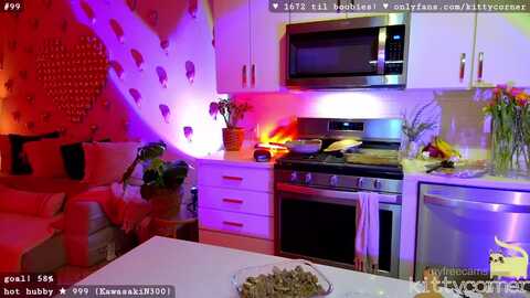 kittycorner @ myfreecams on 20240404