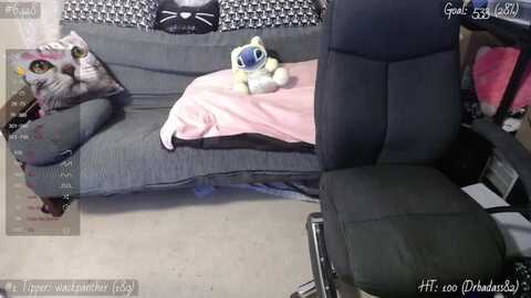 ameliaelendil @ myfreecams on 20240406