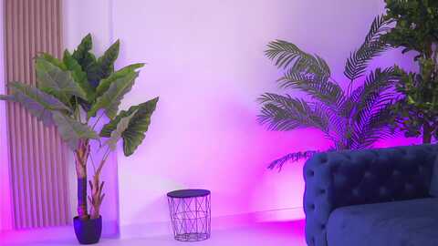 evakeen @ myfreecams on 20240406