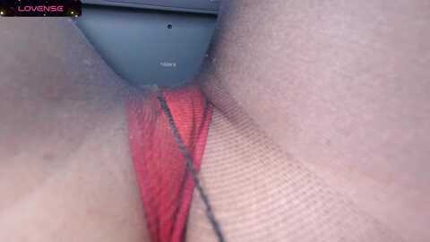innocentsamx @ myfreecams on 20240407