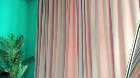 kaylalaine @ myfreecams on 20240407