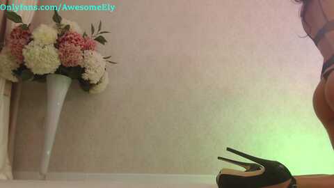 awesomeely @ myfreecams on 20240411
