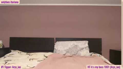 it_ariana