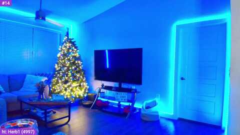 sammy_gray @ myfreecams on 20240413