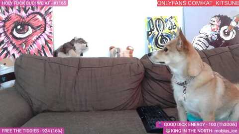 kat_kitsune @ myfreecams on 20240415