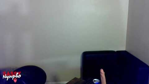 sassy_nympho @ myfreecams on 20240415
