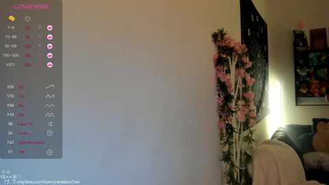 bunnynextdoor @ myfreecams on 20240424
