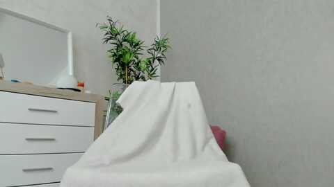 temptingtease @ myfreecams on 20240424