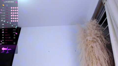 lys_with @ myfreecams on 20240427