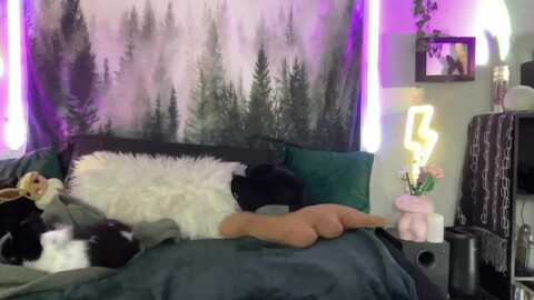 rileywoods @ myfreecams on 20240429