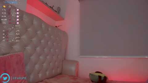 evelyn_evelyn @ myfreecams on 20240503