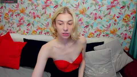 alinablank @ myfreecams on 20240507