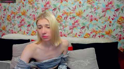 alinablank @ myfreecams on 20240508
