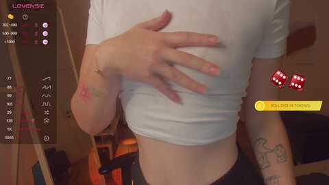 gingervi