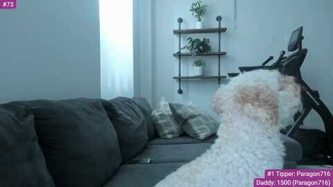 rorriegomez @ myfreecams on 20240510