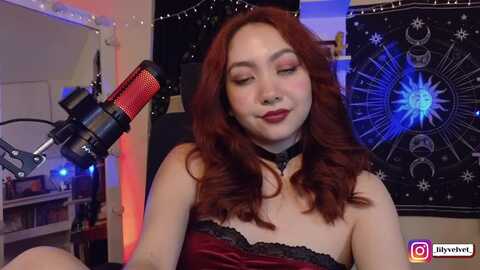 lilyvelvet