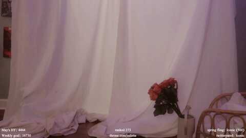 coletteclaude @ myfreecams on 20240516