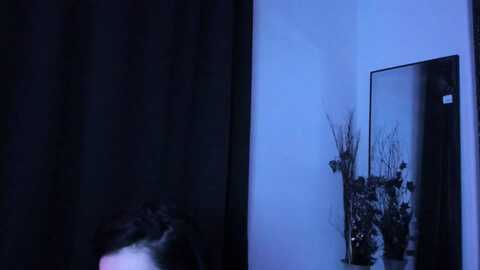 midnightrose @ myfreecams on 20240518