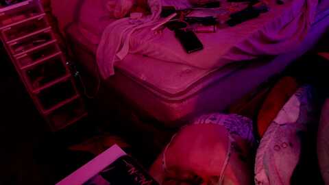 sugahfreeee @ myfreecams on 20240522
