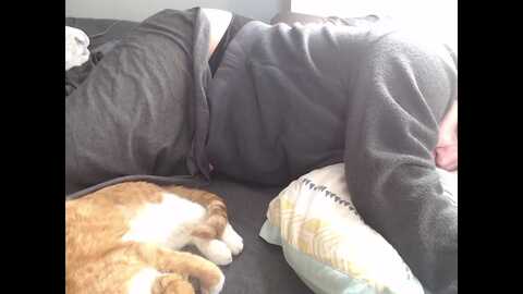 lame_chatter @ myfreecams on 20240525