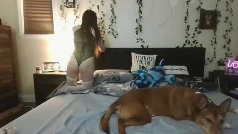 average_girl @ myfreecams on 20240602