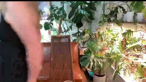 sweetbratkate @ myfreecams on 20240602