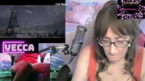 vecca_salt