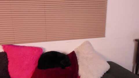 pixara @ myfreecams on 20240604