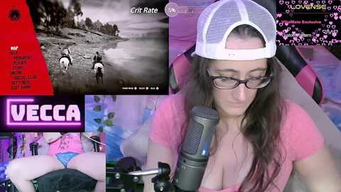 vecca_salt