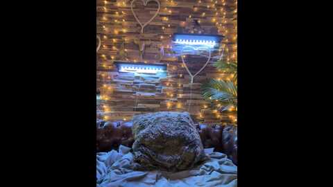 charmingruby @ stripchat on 20230830