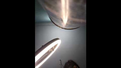 18teen_fantasycouple @ stripchat on 20230901