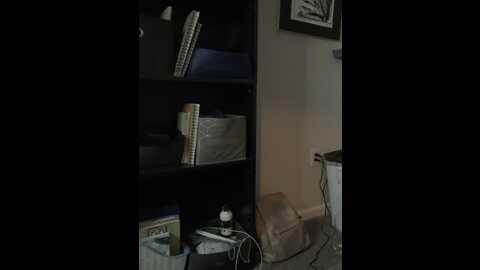 meg6873 @ stripchat on 20230904