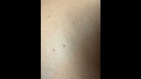 yasmine_khalifa @ stripchat on 20230906