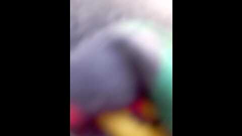 nancy_0ne @ stripchat on 20230912