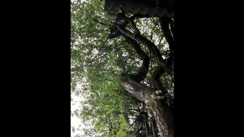 night_dreams @ stripchat on 20230912