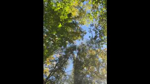 ammyhot @ stripchat on 20230914