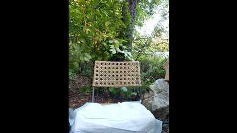 sheissomething @ stripchat on 20230914