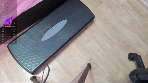 al1ce_fox @ stripchat on 20230915