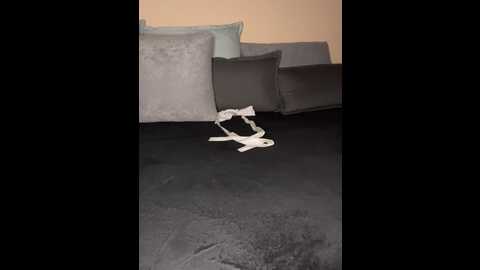 angelpussyka @ stripchat on 20230915