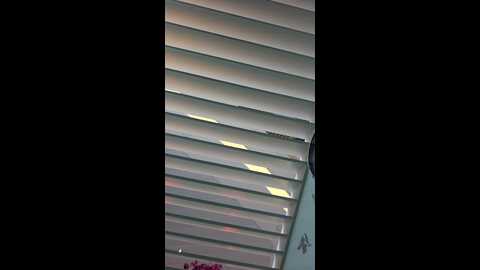 caramel_jane @ stripchat on 20230915