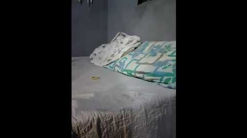 hannafallow @ stripchat on 20230916