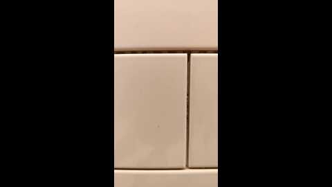 m_married @ stripchat on 20230916