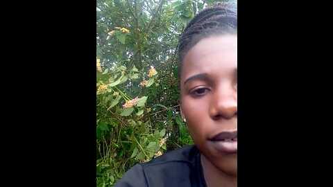 hotbarbie256 @ stripchat on 20230917