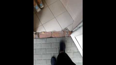 mom___dad @ stripchat on 20230917