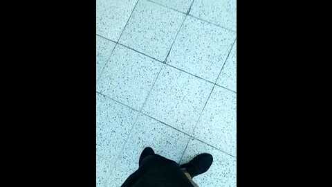 mom___dad @ stripchat on 20230918