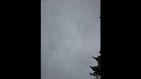 nathaliedream @ stripchat on 20230918