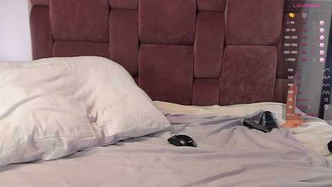 aliceewonderr @ stripchat on 20230919