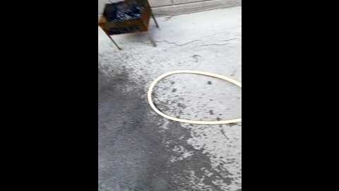 mom___dad @ stripchat on 20230919