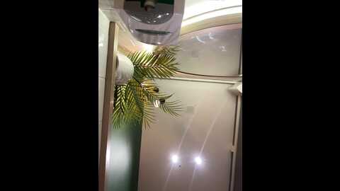 nikamur @ stripchat on 20230919