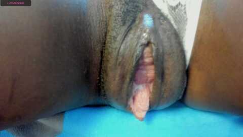 monicaschwartz @ stripchat on 20230920